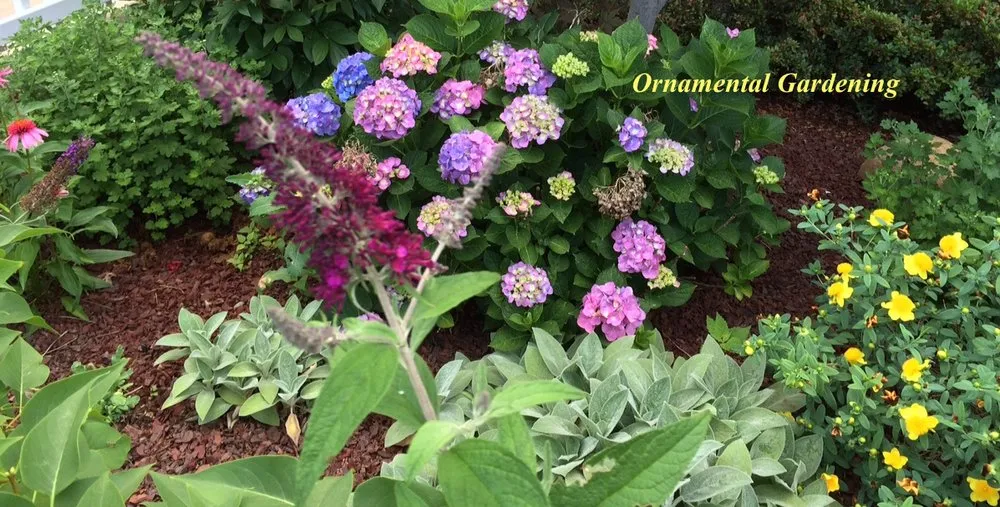 Local yard cleanup service in Fresh Meadows, NY - Isaiah's Figtree