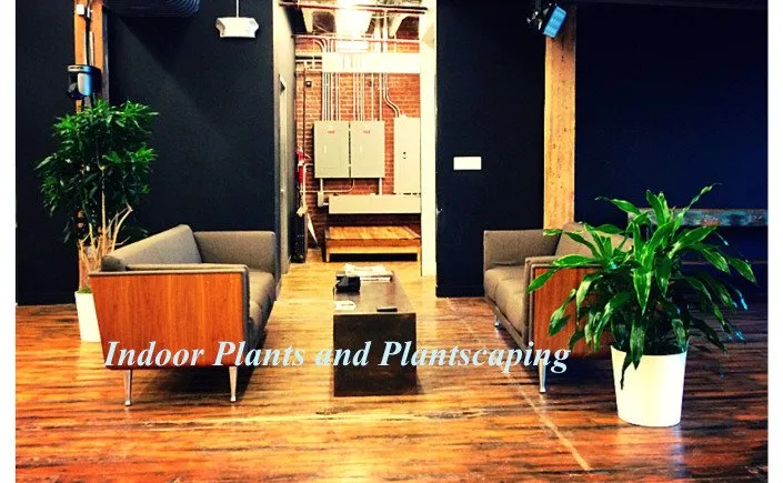 Affordable yard maintenance in Fresh Meadows, NY by Isaiah's Figtree