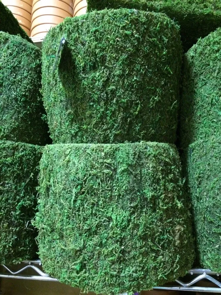 Professional yard cleanup service for residential properties across Fresh Meadows, NY - Isaiah's Figtree