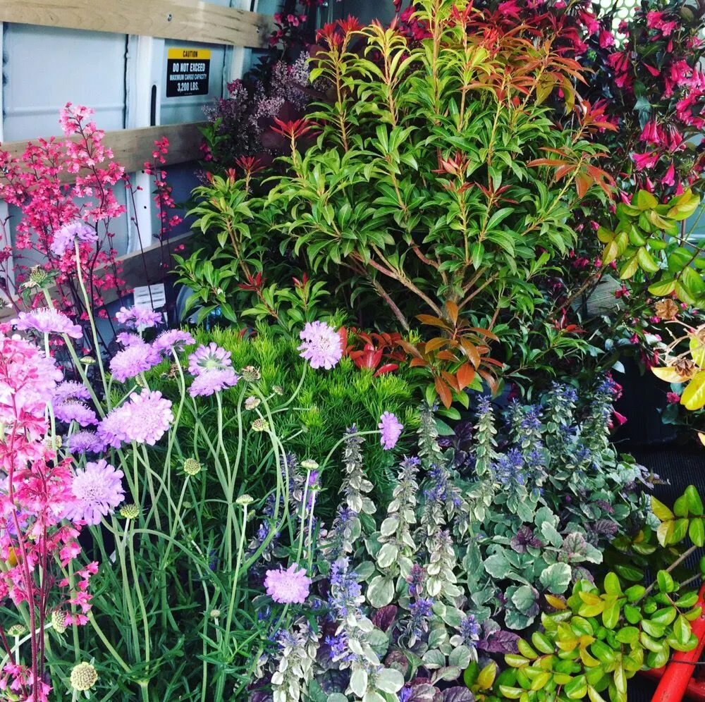 Professional outdoor landscaping with custom design across Fresh Meadows, NY - Isaiah's Figtree