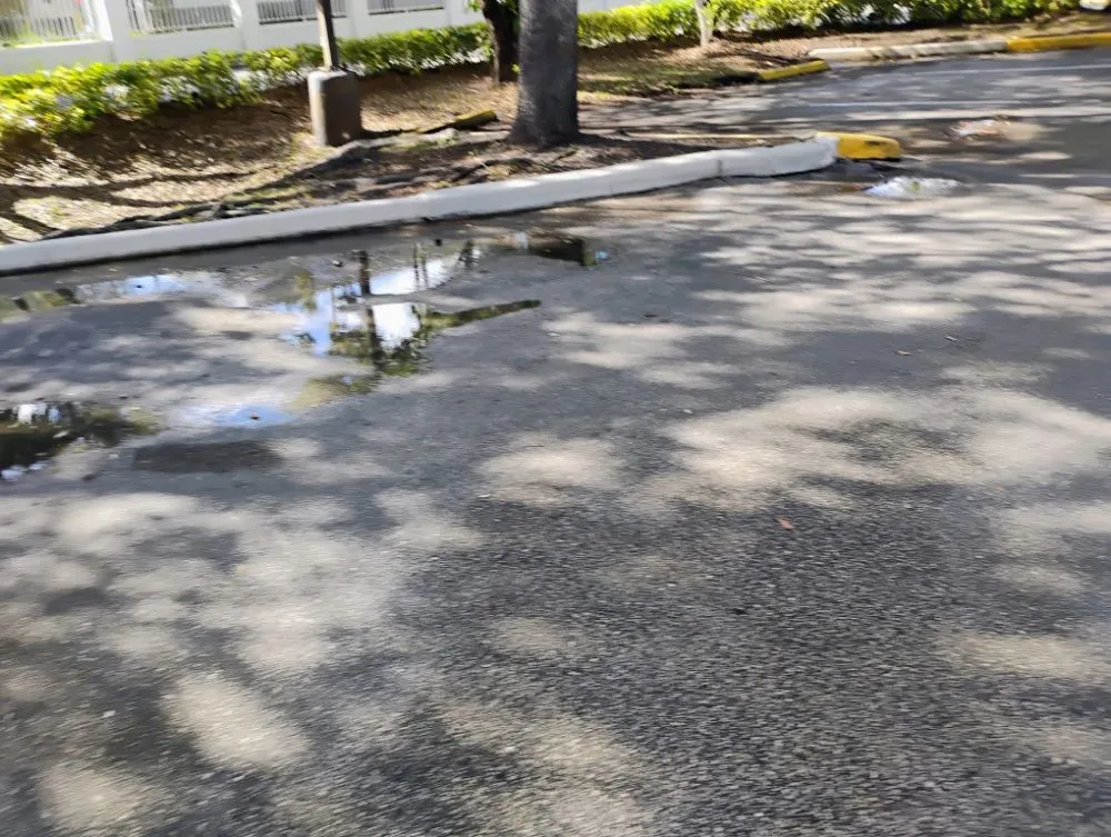 Expert yard maintenance in Palmetto bay, FL - Isaiahs Outdoor Services