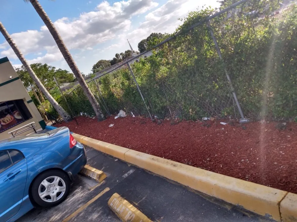 Custom yard maintenance for year-round maintenance across Palmetto bay, FL - Isaiahs Outdoor Services