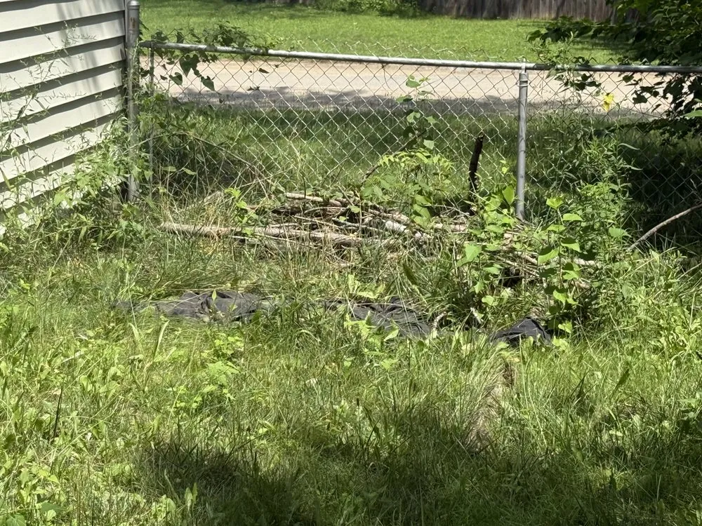 Custom landscape installation for year-round maintenance across Indianapolis, IN - Isaiah's Reliable Handyman services