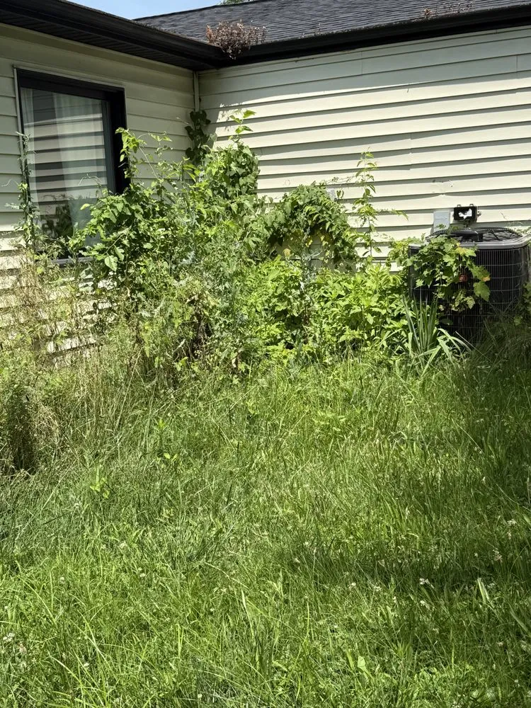 Custom garden landscaping experts serving Indianapolis, IN - Isaiah's Reliable Handyman services