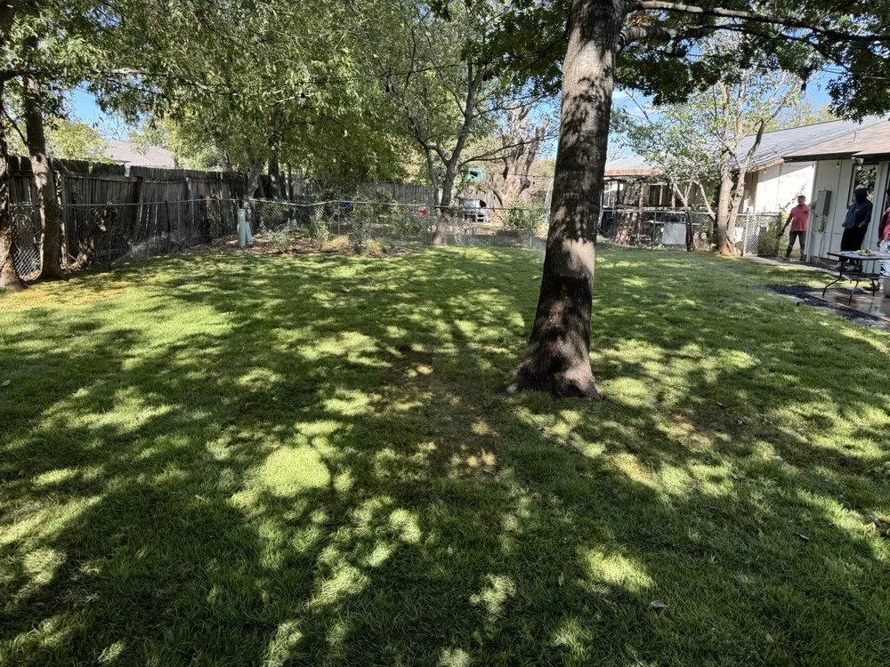 Local landscape installation for beautiful yards across Austin, TX - Isaias Gonzalez Landscaping