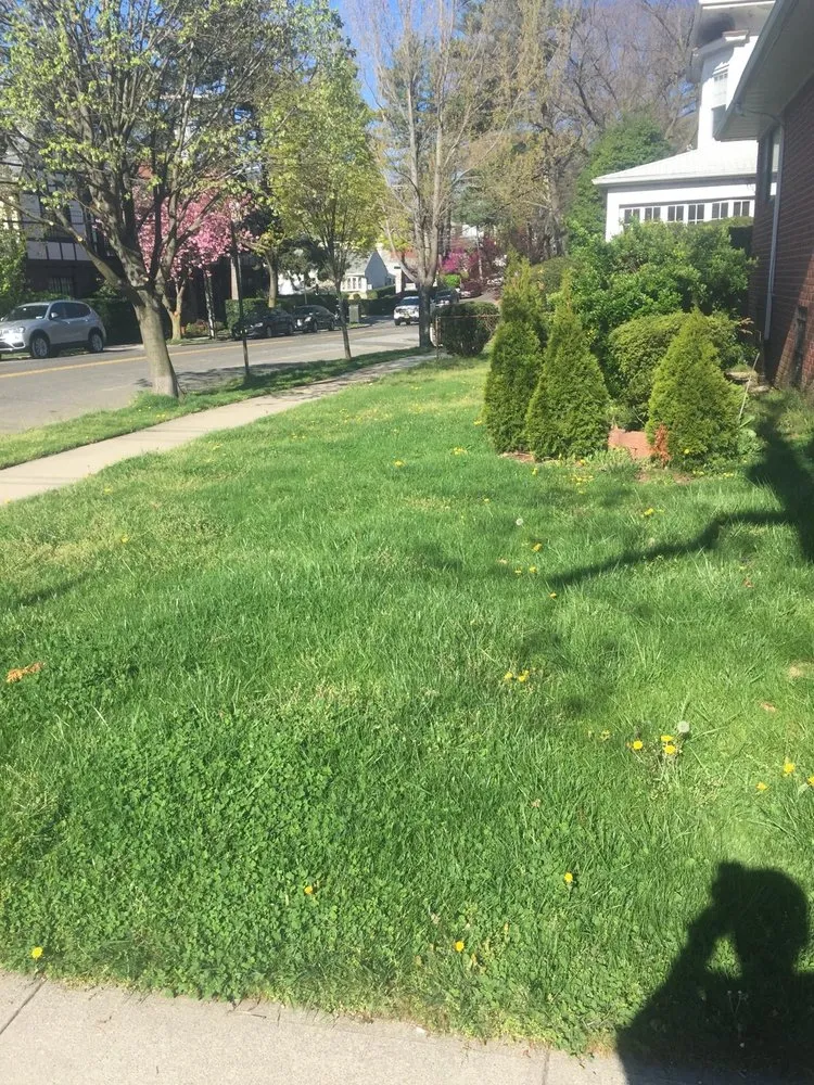 Professional lawn care service for beautiful yards in New York, NY by Isaias landscaping