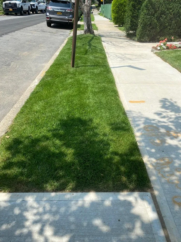 Affordable lawn mowing service in New York, NY - Isaias landscaping
