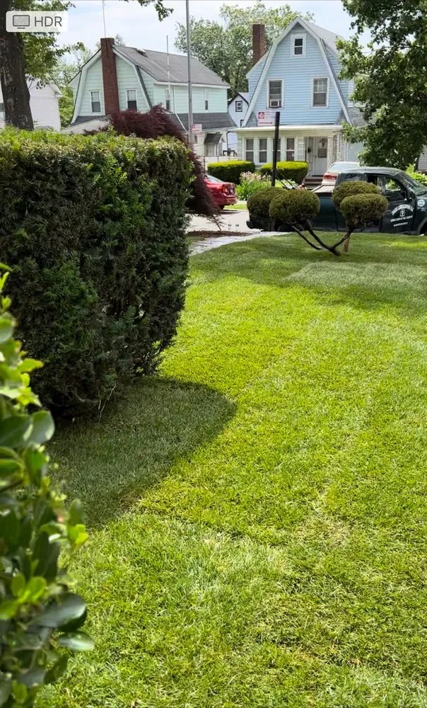 Reliable landscape installation for year-round maintenance in New York, NY by Isaias landscaping