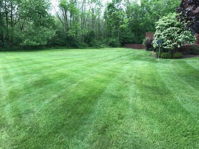 Custom lawn care service in Randolph, NY - Isaman's Contracting