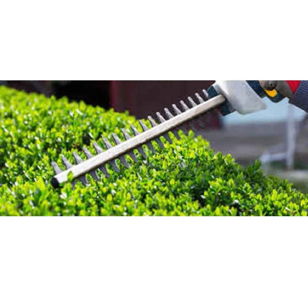 Expert residential landscaping in Randolph, NY by Isaman's Contracting