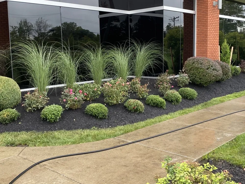 Local lawn care service in Buffalo, NY by Isiahs Lawn Care Service