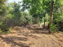 Reliable outdoor landscaping in Lincoln, CA - Isidro's Lawn service