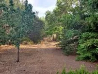 Custom residential landscaping in Lincoln, CA - Isidro's Lawn service