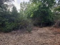 Expert yard cleanup service in Lincoln, CA - Isidro's Lawn service