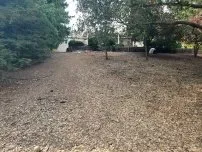 Professional landscaping services in Lincoln, CA by Isidro's Lawn service