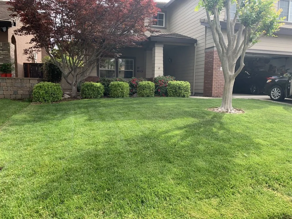 Reliable landscape design in Lincoln, CA by Isidro's Lawn service