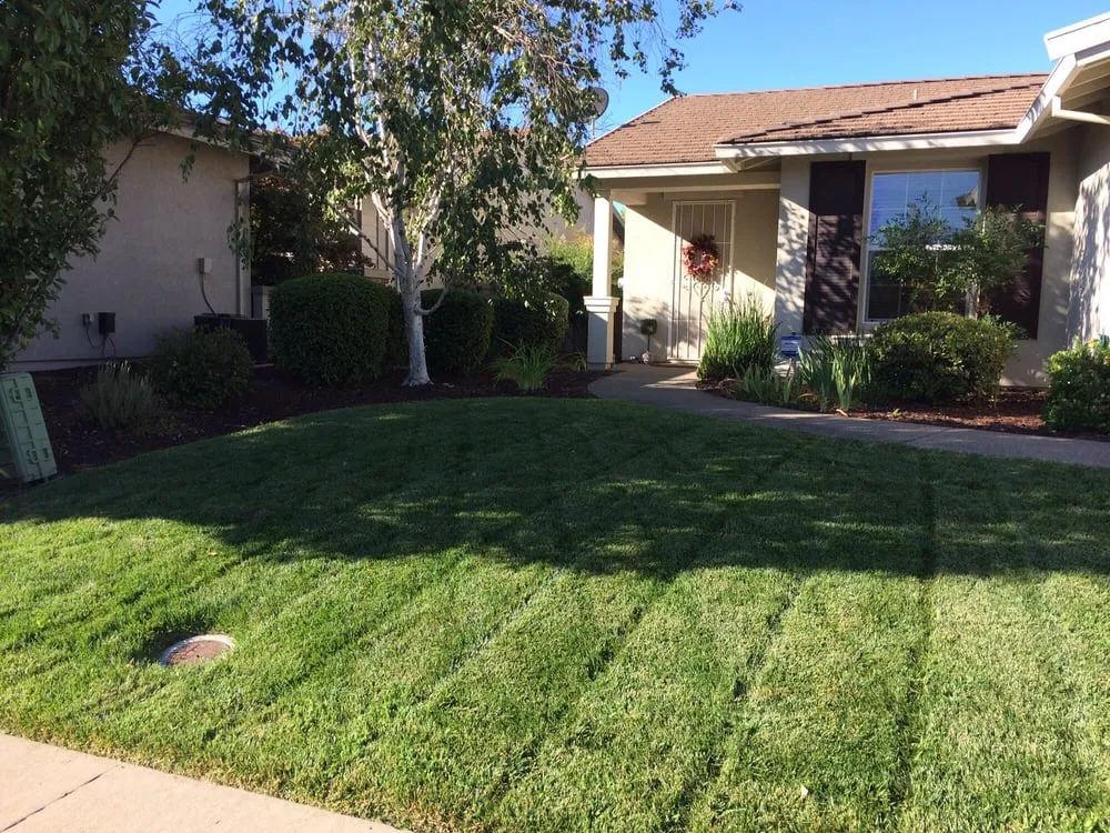 Trusted outdoor landscaping experts serving Lincoln, CA - Isidro's Lawn service