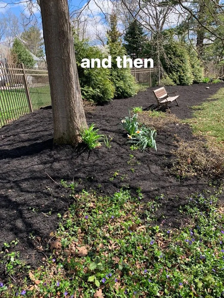 Expert lawn care service experts serving Bernardsville, NJ - Isl Lopez Construction and Landscaping