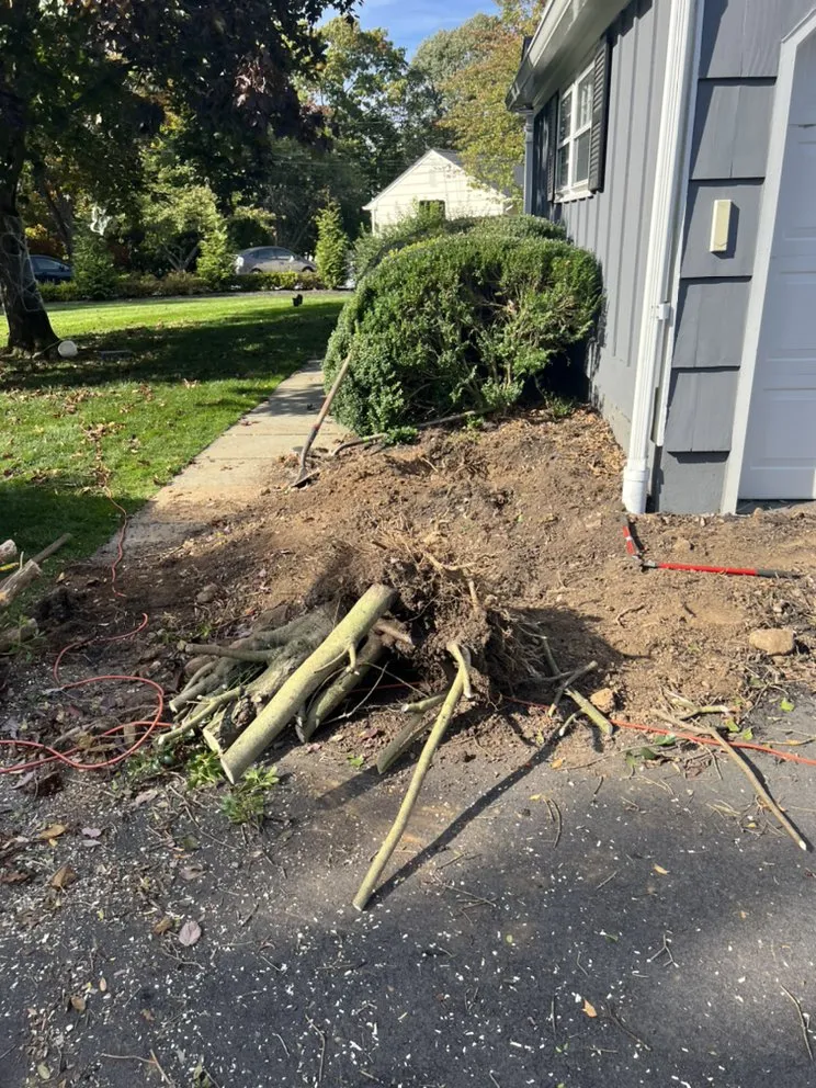 Professional landscape design in Bernardsville, NJ by Isl Lopez Construction and Landscaping