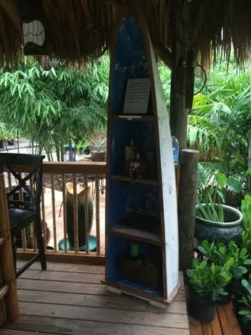 Professional lawn mowing service in Pinellas Park, FL by Island Bamboo Garden