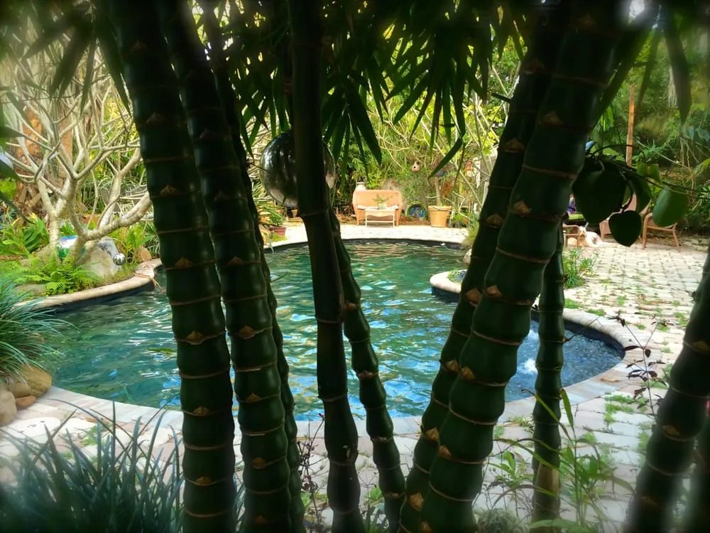 Professional garden landscaping experts serving Pinellas Park, FL - Island Bamboo Garden