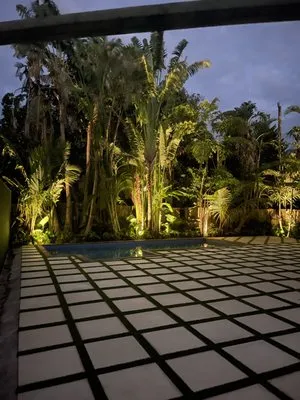 Island Boy Irrigation And Landscaping Logo