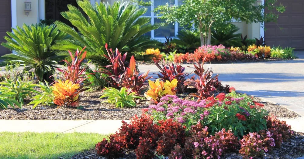 Trusted lawn care service for homes across St. Augustine, FL - Island Breezes Lawn Care