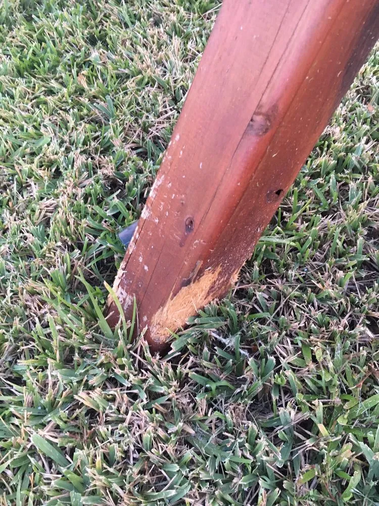 Affordable landscaping services for homes across St. Augustine, FL - Island Breezes Lawn Care