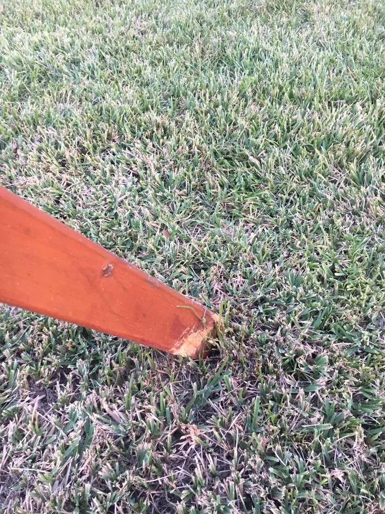 Reliable landscaping services in St. Augustine, FL - Island Breezes Lawn Care