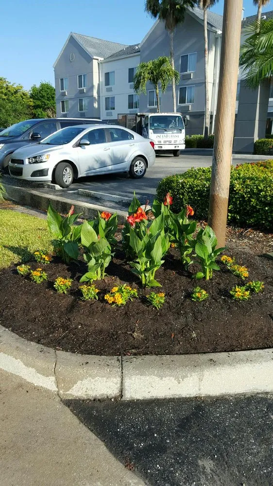 Custom landscape design experts serving Fort Myers, FL - Island Coast Lawn & Landscaping