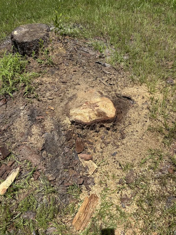 Affordable lawn care service experts serving Sarasota, FL - Island Creations