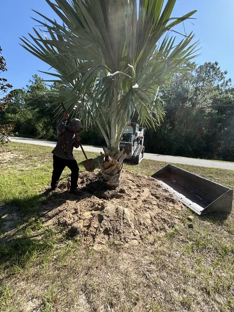 Reliable lawn care service in Sarasota, FL - Island Creations