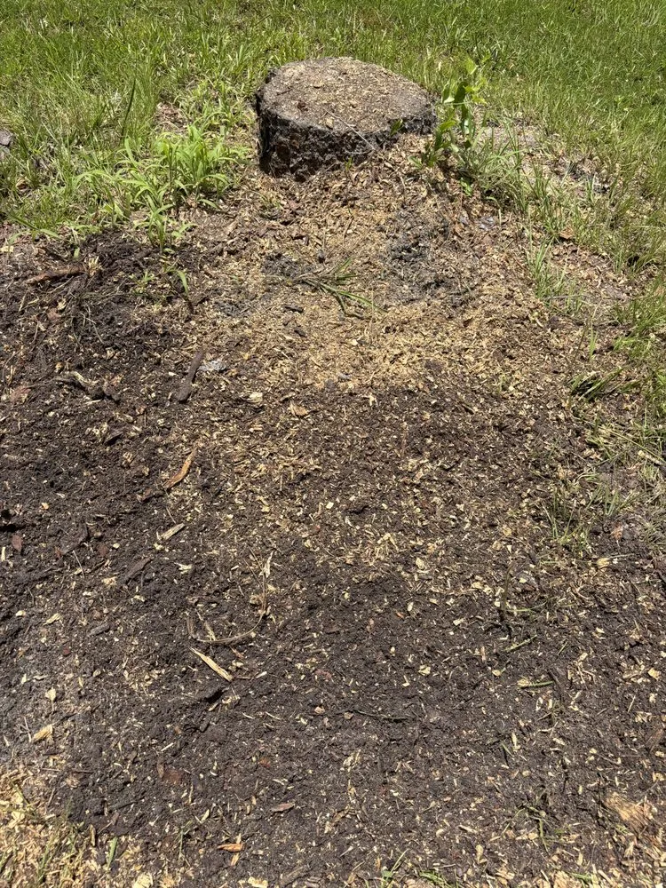 Professional yard maintenance for homes across Sarasota, FL - Island Creations