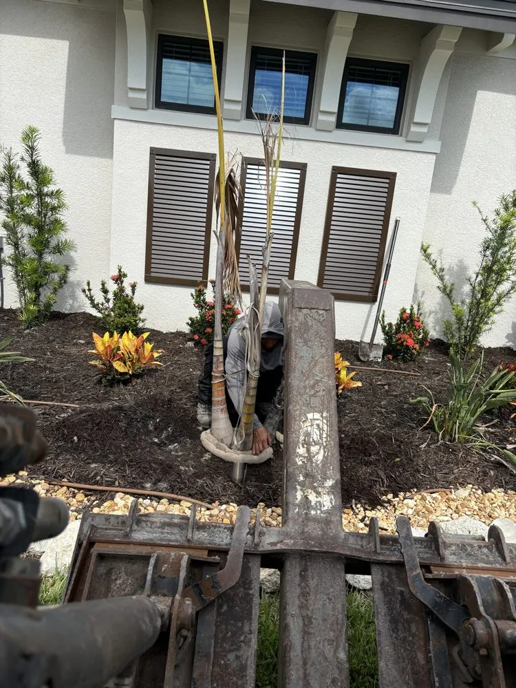 Trusted yard maintenance for residential properties in Sarasota, FL by Island Creations