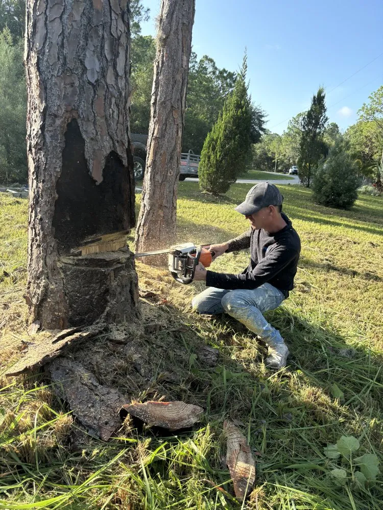 Professional landscape design for year-round maintenance across Sarasota, FL - Island Creations