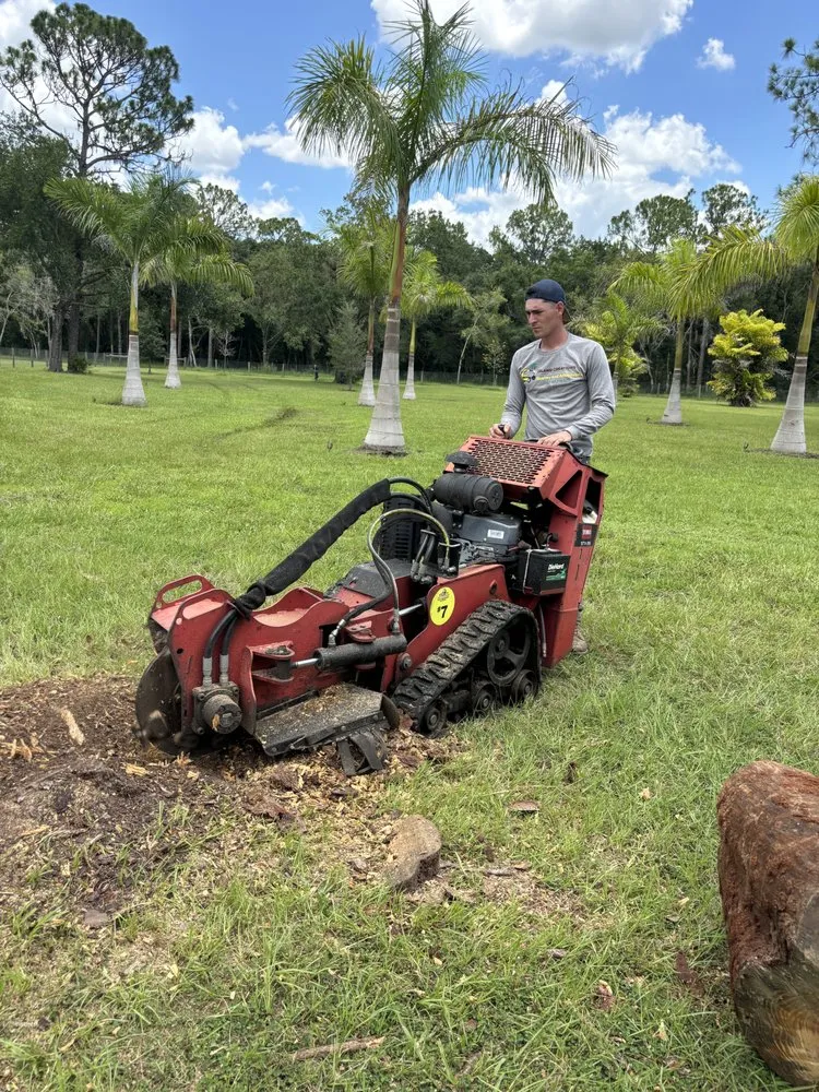 Reliable landscaping services for beautiful yards across Sarasota, FL - Island Creations