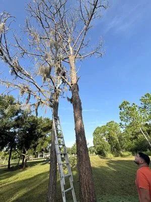 Island Creations Logo