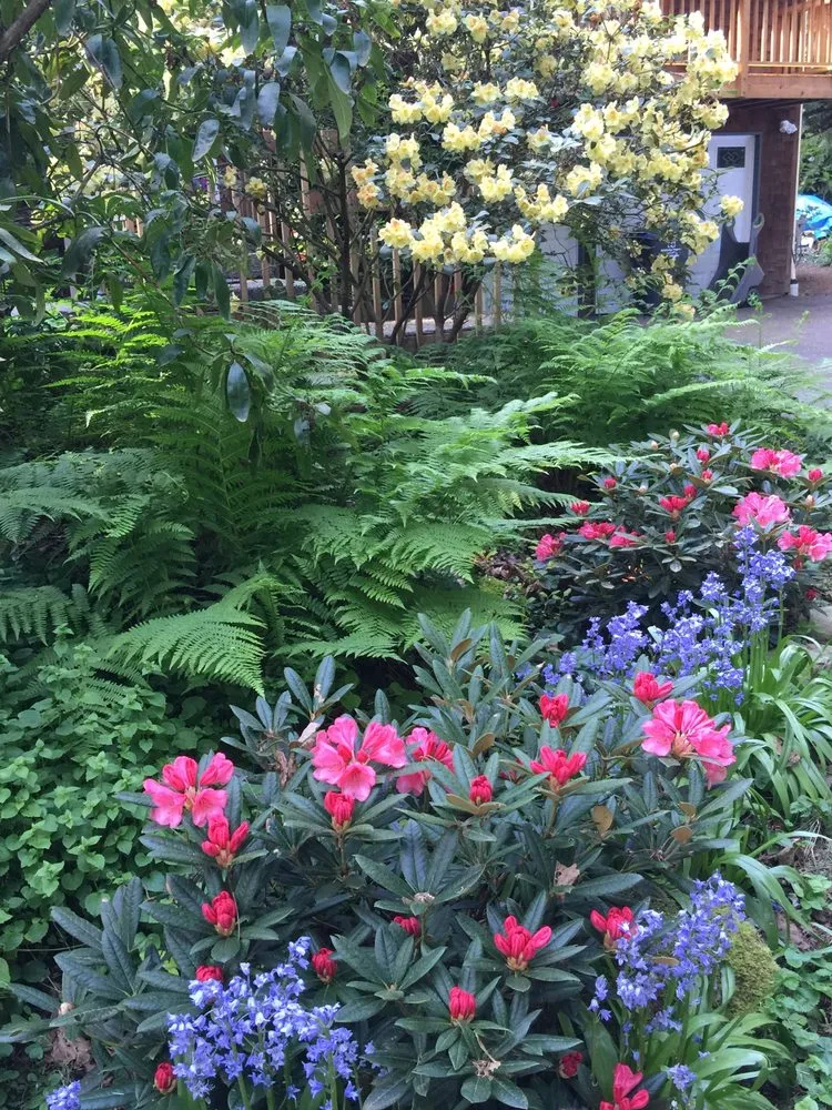 Local landscaping services experts serving Bainbridge Island, WA - Island Details Landscape & Maintenance