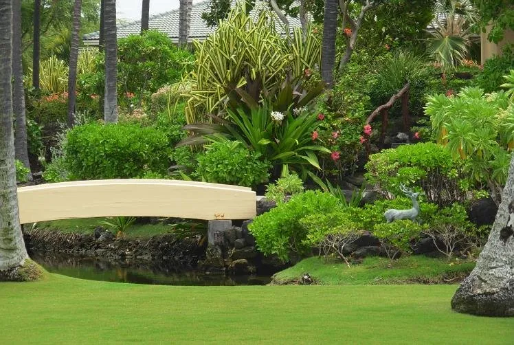 Professional landscape design experts serving Aiea, HI - Island Edge Lawn Care