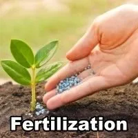 Expert outdoor landscaping for outdoor upgrades in West Palm Beach, FL by Island Environmental Pest Control