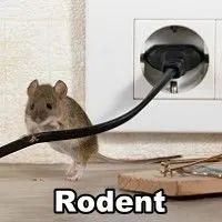 Top-rated outdoor landscaping for outdoor upgrades across West Palm Beach, FL - Island Environmental Pest Control