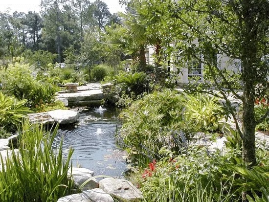 Professional landscape design with custom design in Hilton Head Island, SC by Island Environments