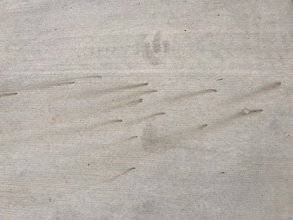 Custom landscape installation for beautiful yards in Longboat Key, FL by Island Exteriors