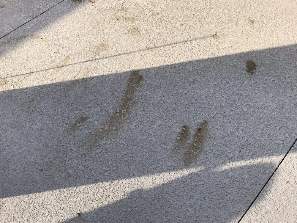 Top-rated lawn mowing service near you across Longboat Key, FL - Island Exteriors