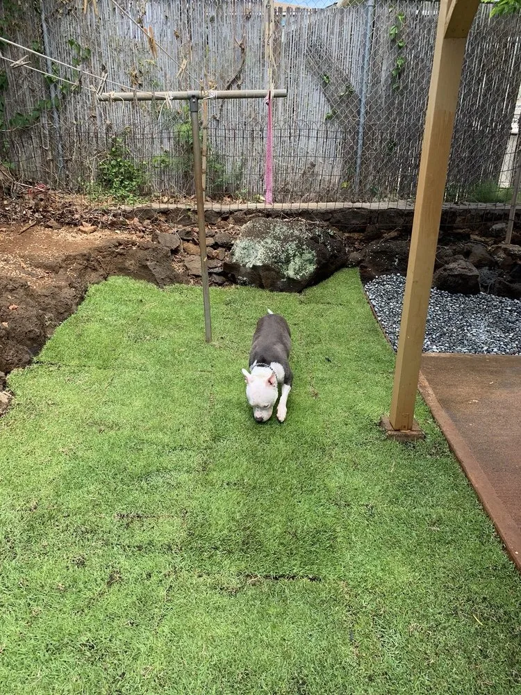 Local garden landscaping near you across Waipahu, HI - Island Green