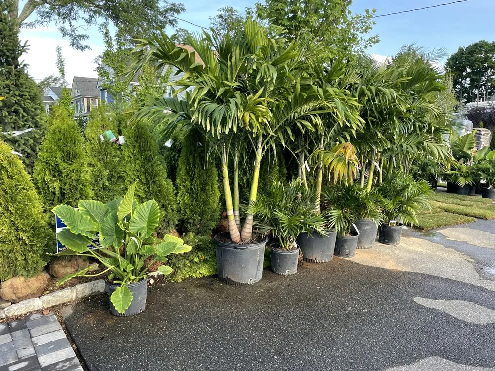 Local yard maintenance experts serving Bellmore, NY - Island Greenery Masonry & Landscape