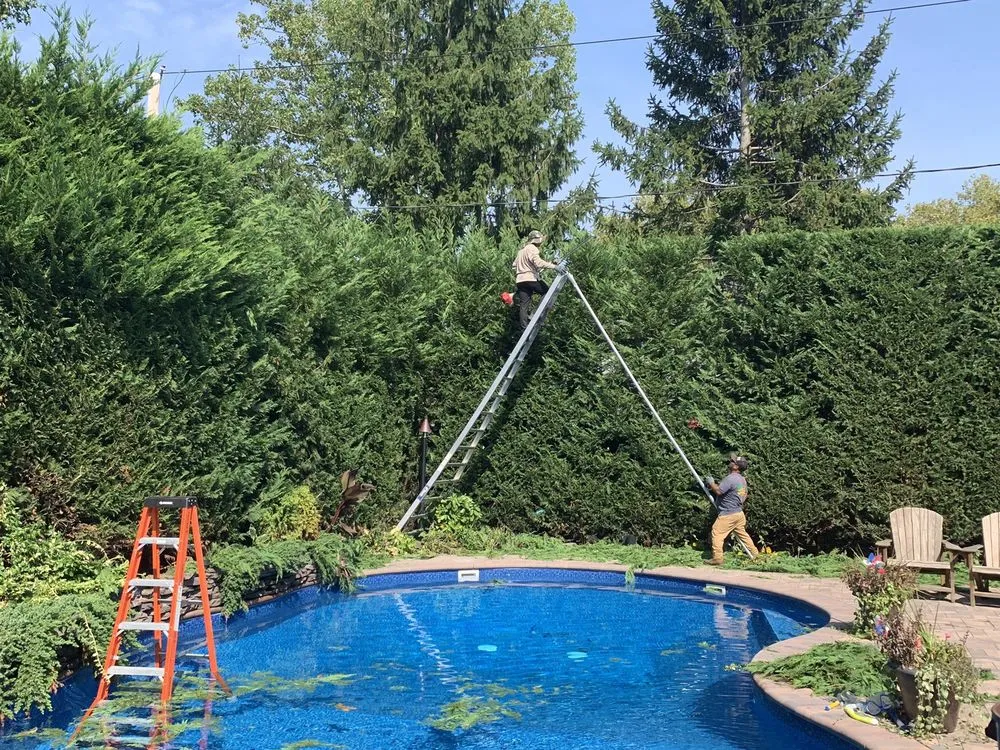 Trusted outdoor landscaping for residential properties across Bellmore, NY - Island Greenery Masonry & Landscape