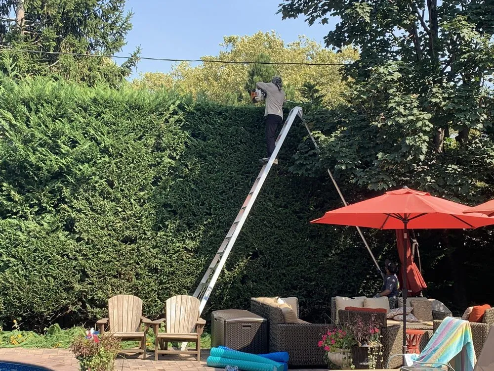 Reliable lawn care service in Bellmore, NY by Island Greenery Masonry & Landscape