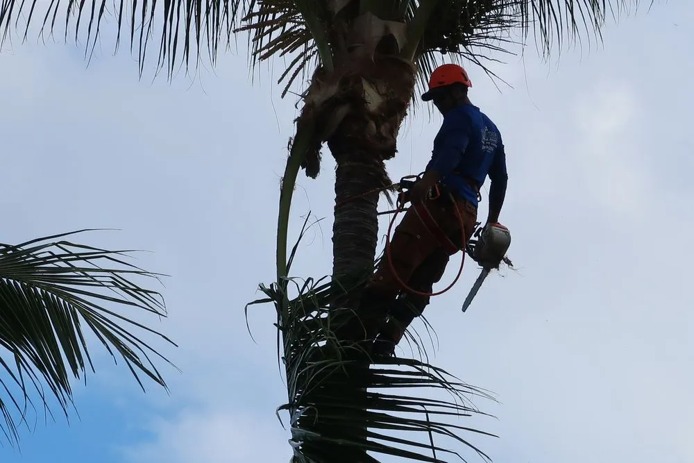 Custom residential landscaping experts serving Sanibel, FL - Island Home Service