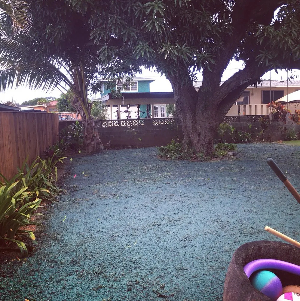 Expert yard maintenance near you across Honolulu, HI - Island Hydroseed